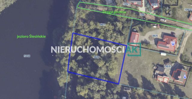 Działka leśna Głębockie Pierwsze. Zdjęcie 11