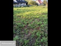 Działka budowlana Tłuszcz, ul. Zachodnia. Zdjęcie 1