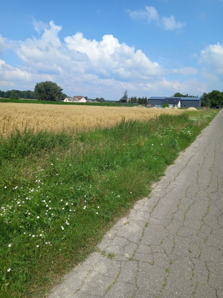 Działka rolno-budowlana Galomin. Zdjęcie 4