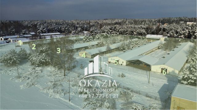 Działka inwestycyjna Wysoka Głogowska. Zdjęcie 1