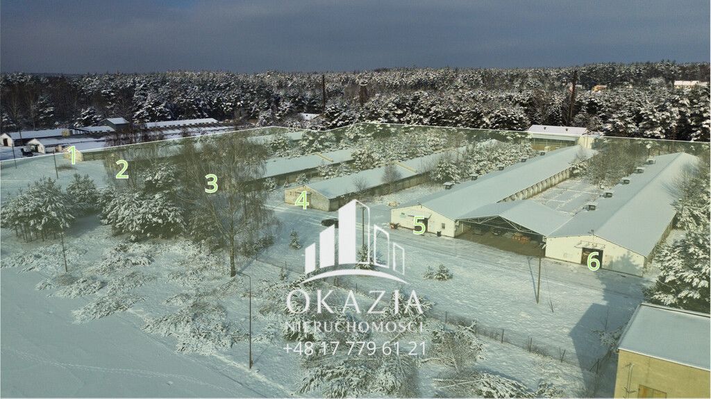 Działka inwestycyjna Wysoka Głogowska. Zdjęcie 1