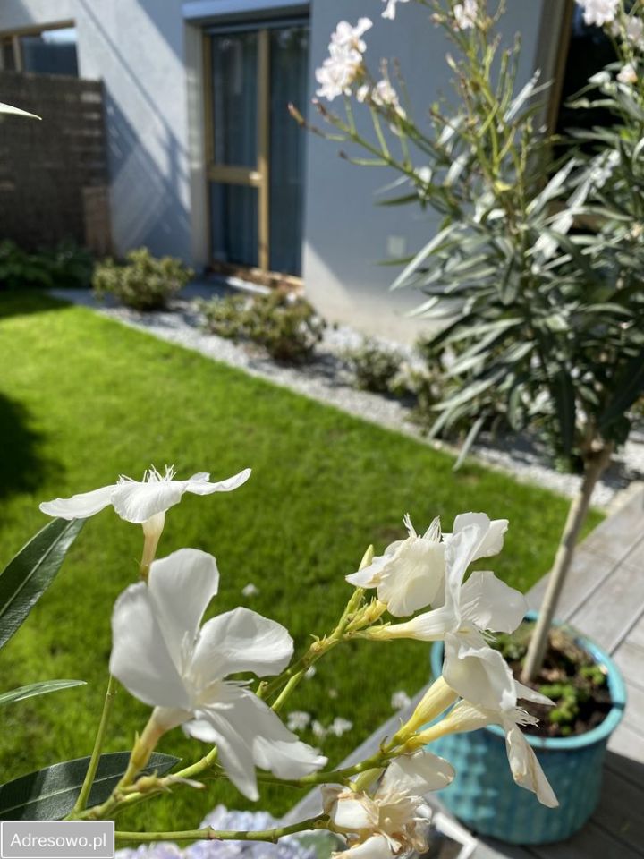 Mieszkanie 4-pokojowe Zielona Góra Centrum, ul. Stanisława Moniuszki. Zdjęcie 5