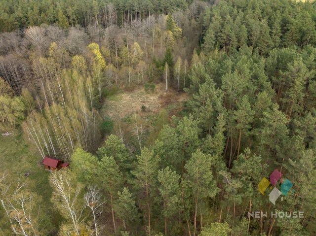 Działka leśna Świętajno, ul. Grunwaldzka. Zdjęcie 5