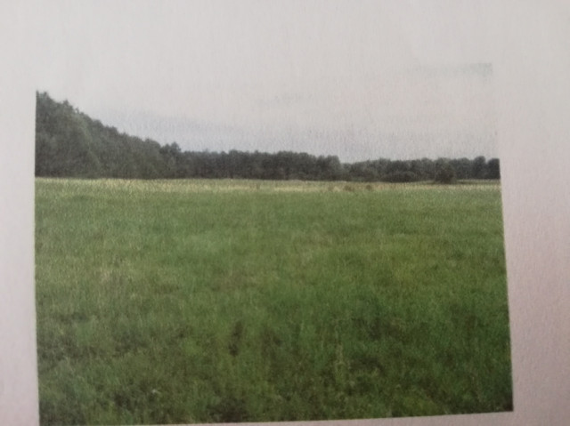Działka rolna Bebelno-Kolonia. Zdjęcie 1