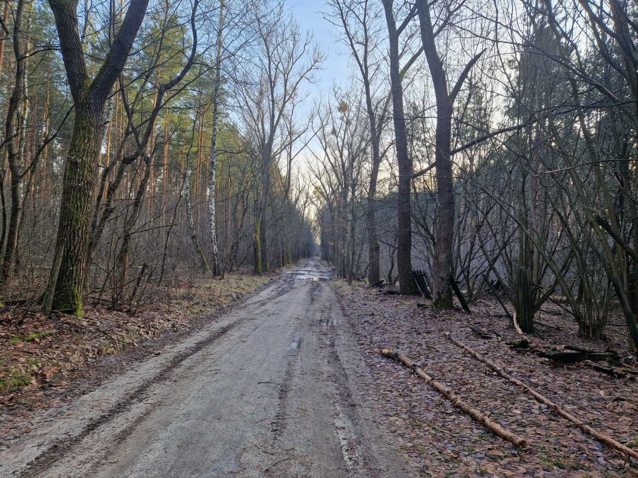 Działka budowlana Okuninka. Zdjęcie 7