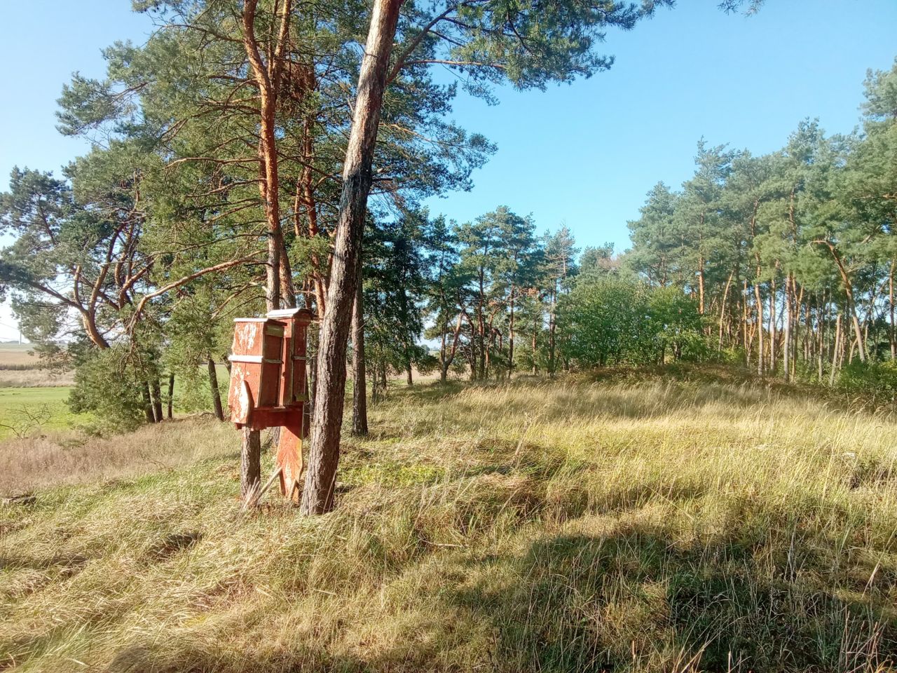 Działka rolna Parsów. Zdjęcie 7