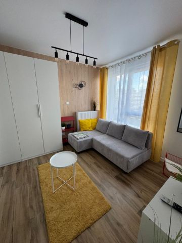 Mieszkanie 1-pokojowe Łódź Śródmieście, ul. Piotrkowska. Zdjęcie 6