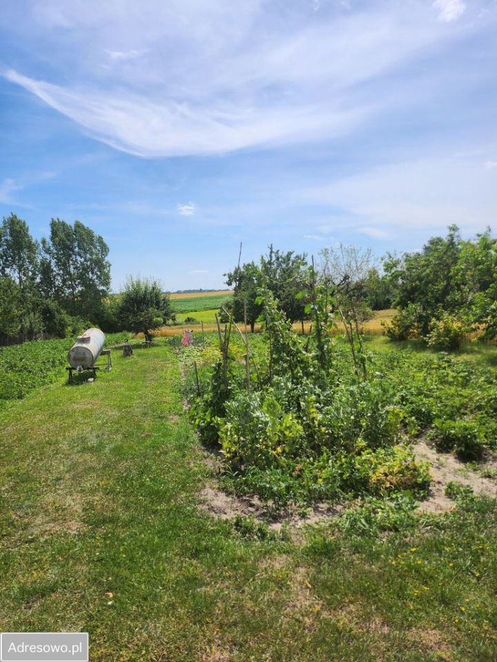 siedlisko, 6 pokoi Otanów. Zdjęcie 2