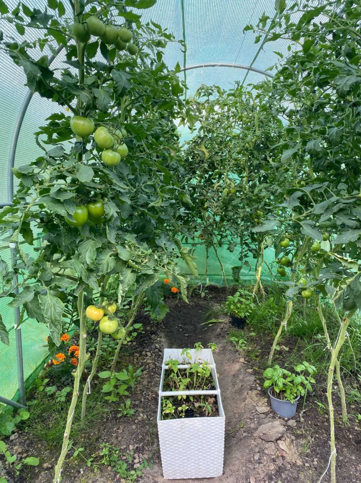 Działka rod Szczecin Skolwin. Zdjęcie 4