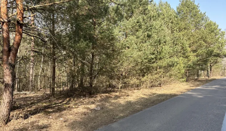 Działka rolno-budowlana Kuligów, ul. Radzymińska