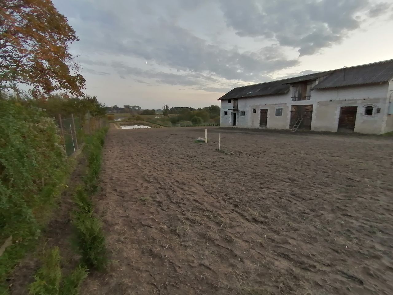 Działka siedliskowa Stara Sucha. Zdjęcie 17