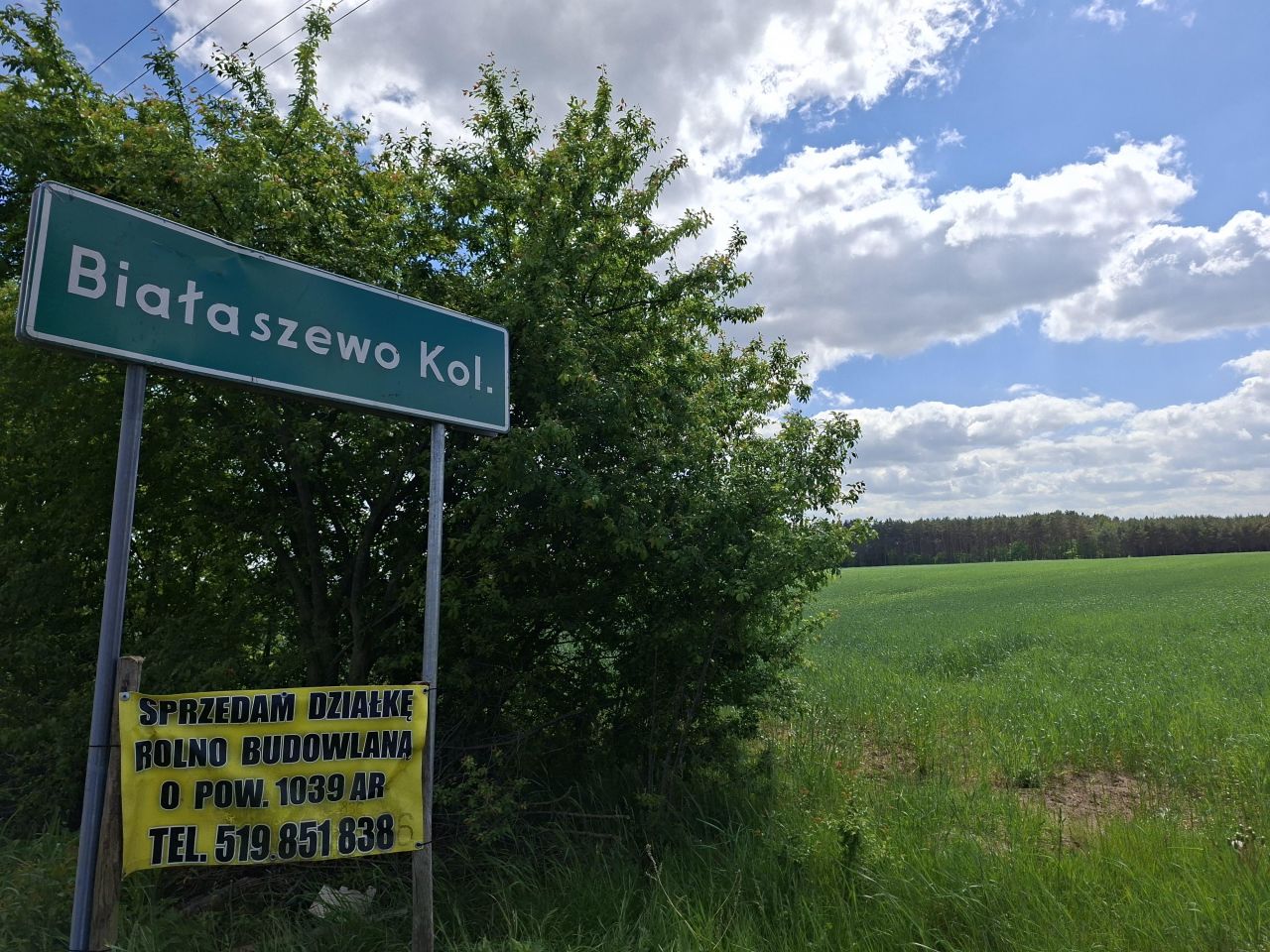 Działka rolno-budowlana Białaszewo-Kolonia, Białaszewo kolonia. Zdjęcie 4