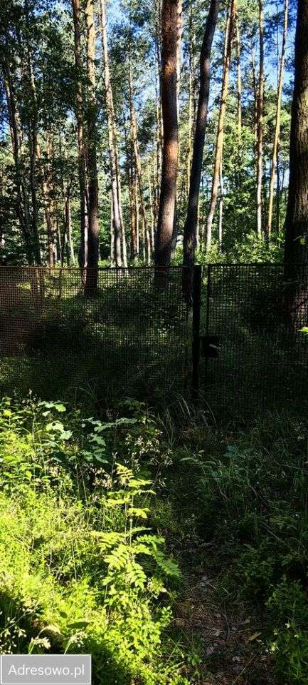 Działka budowlana Żarki-Letnisko. Zdjęcie 4