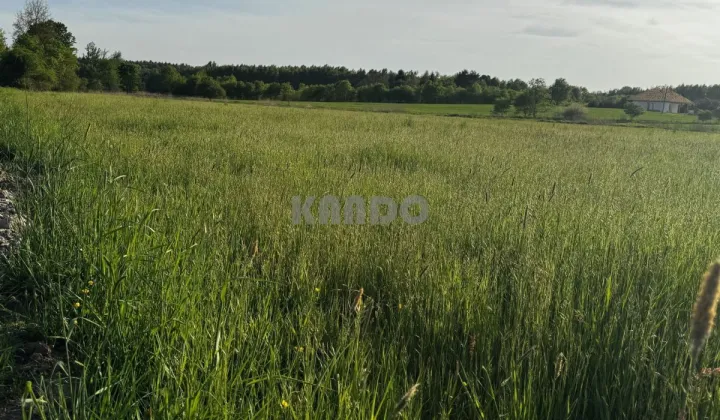 Działka budowlana Rościsławice, ul. Dzika