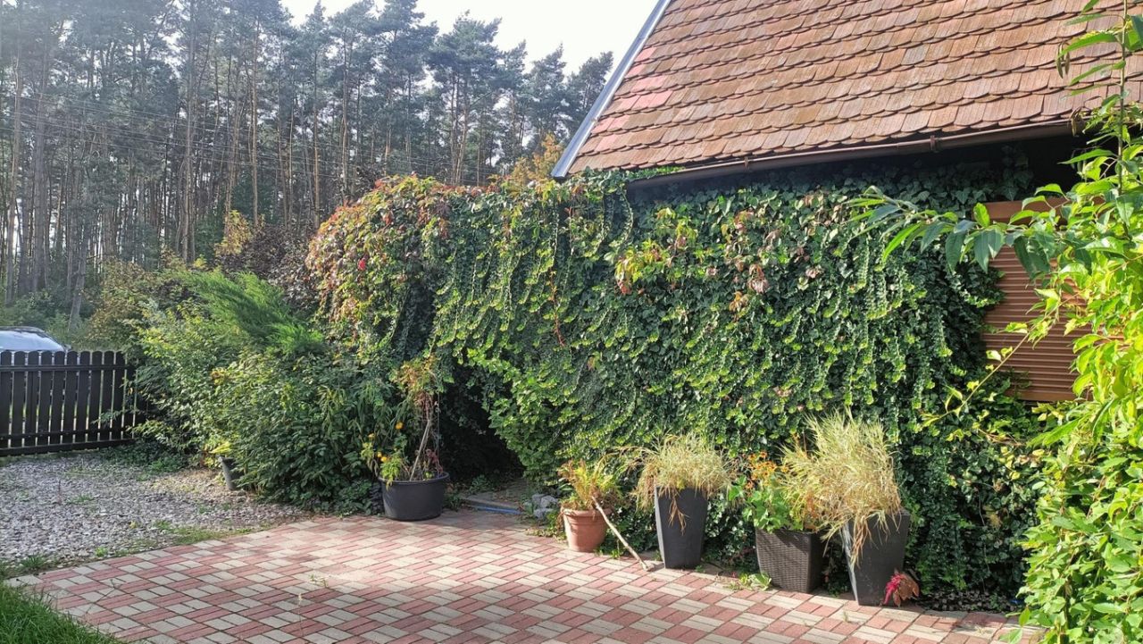 dom letniskowy, 6 pokoi Lipnica. Zdjęcie 11