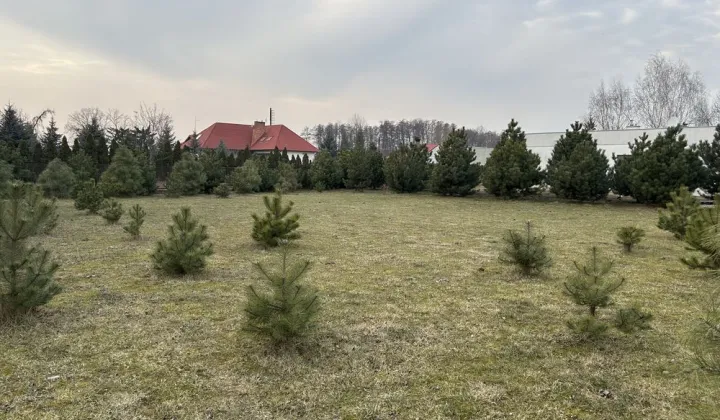 Działka budowlana Płońsk, ul. Piaskowa