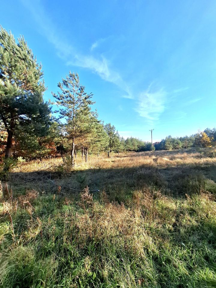 Działka budowlana Wólka Dworska. Zdjęcie 4