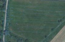 Działka rolna Szumów. Zdjęcie 1