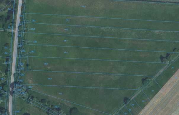 Działka rolna Szumów. Zdjęcie 2