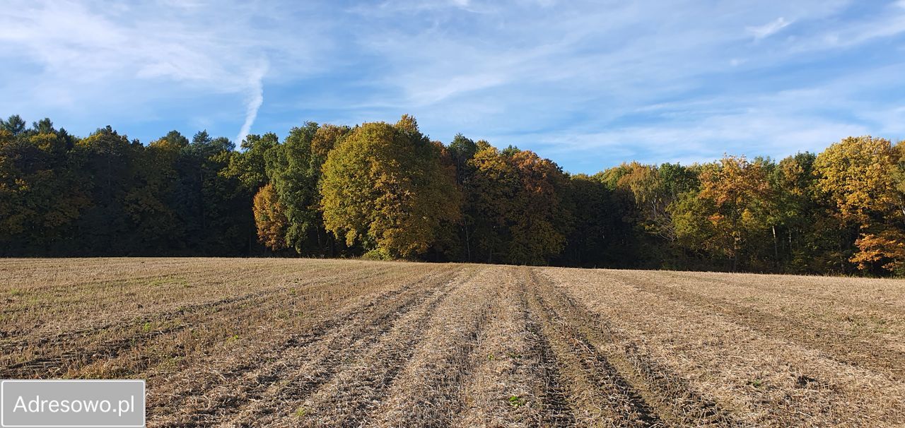 Działka siedliskowa Zelków