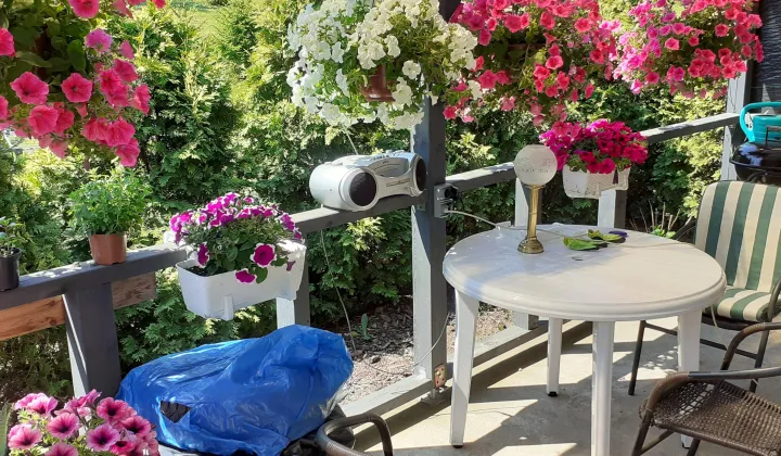 dom wolnostojący, 4 pokoje Wyrówno