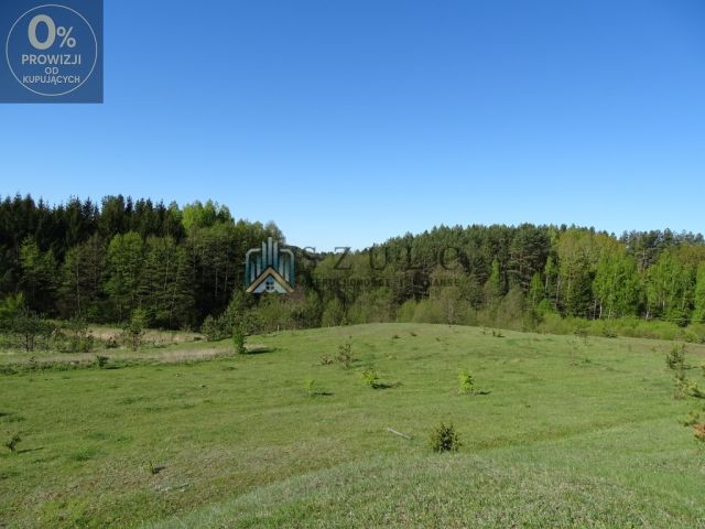 Działka siedliskowa Suwałki. Zdjęcie 8