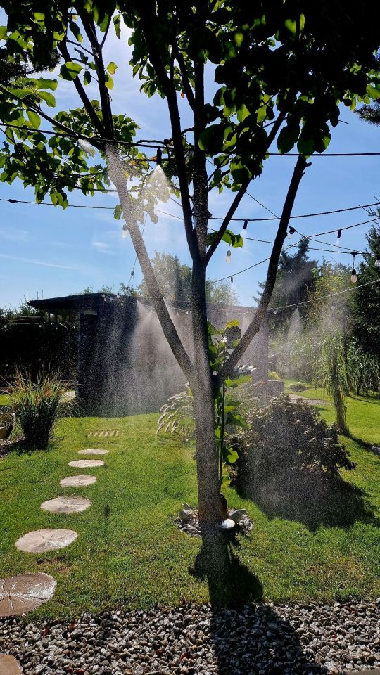 Działka rod Gniezno. Zdjęcie 4