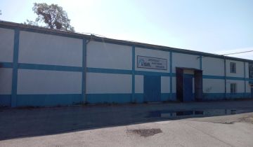 Hala/magazyn Skopanie