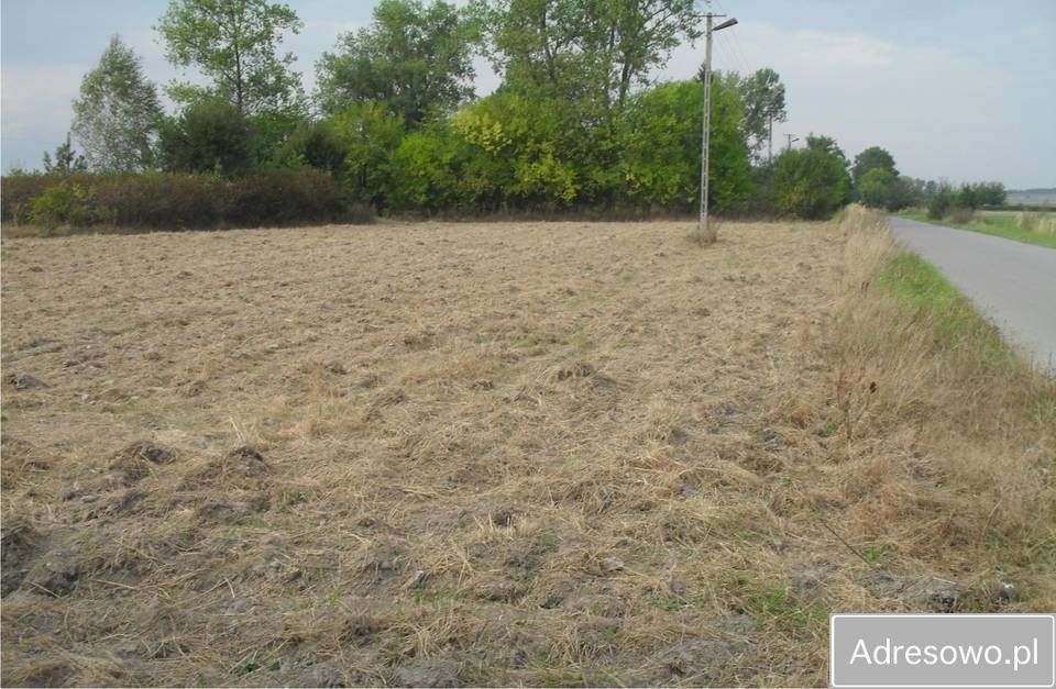 Działka budowlana Piotrkówek. Zdjęcie 4