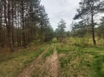 Działka leśna Ruś. Zdjęcie 4