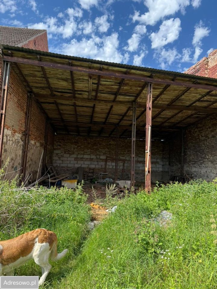 dom wolnostojący, 5 pokoi Dolsko. Zdjęcie 12