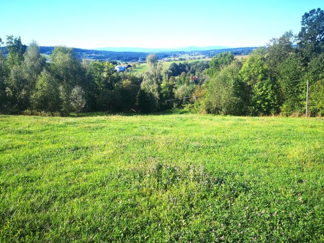 Działka budowlana Turza. Zdjęcie 4