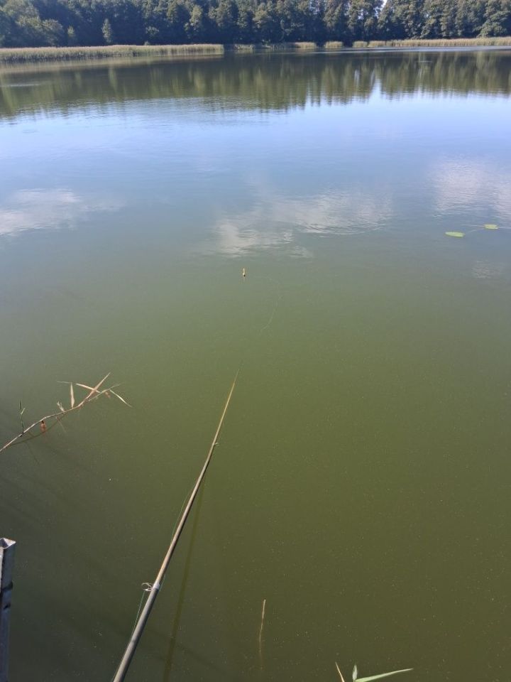 Działka budowlana Bukowiec. Zdjęcie 4