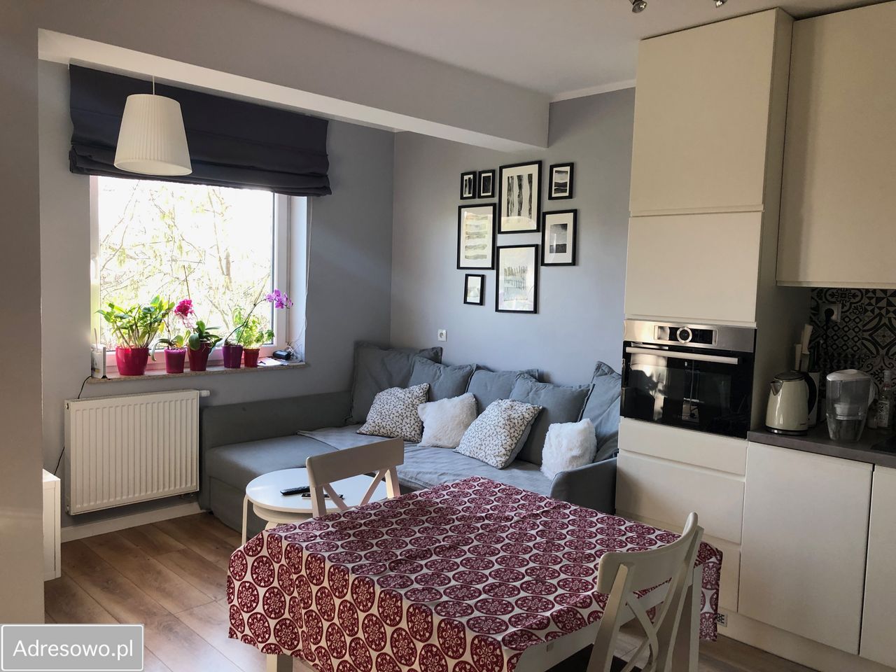 Mieszkanie 2-pokojowe Oleśnica, ul. Brzozowa. Zdjęcie 1