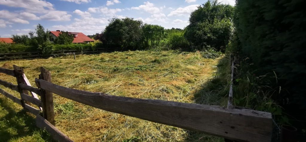 Działka rod Lubniewice. Zdjęcie 3