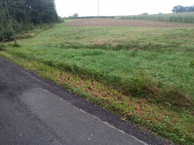 Działka rolno-budowlana Poręba Spytkowska. Zdjęcie 1