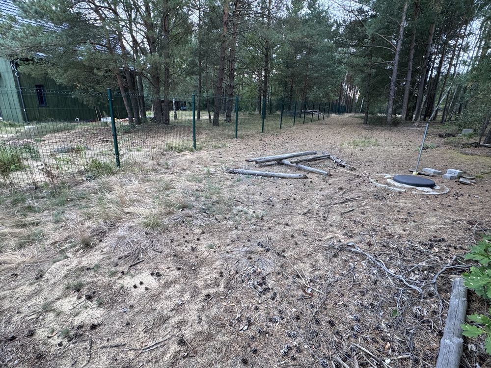 Działka leśna Brzozie. Zdjęcie 7