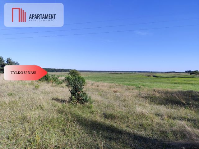 Działka rolna Brzezie. Zdjęcie 1