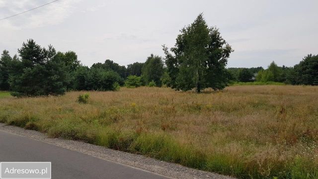 Działka budowlana Czarnówka, ul. Wspaniała. Zdjęcie 1