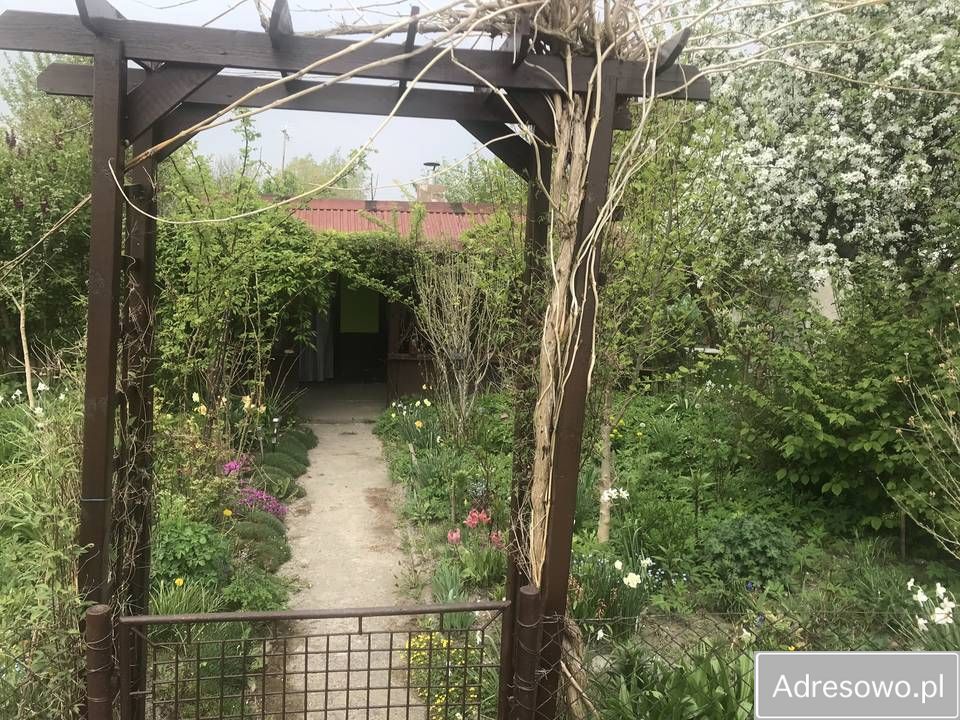 Działka rod Żory, ul. Folwarecka. Zdjęcie 5