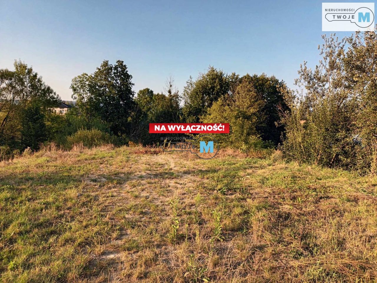 Działka rekreacyjna Bieliny