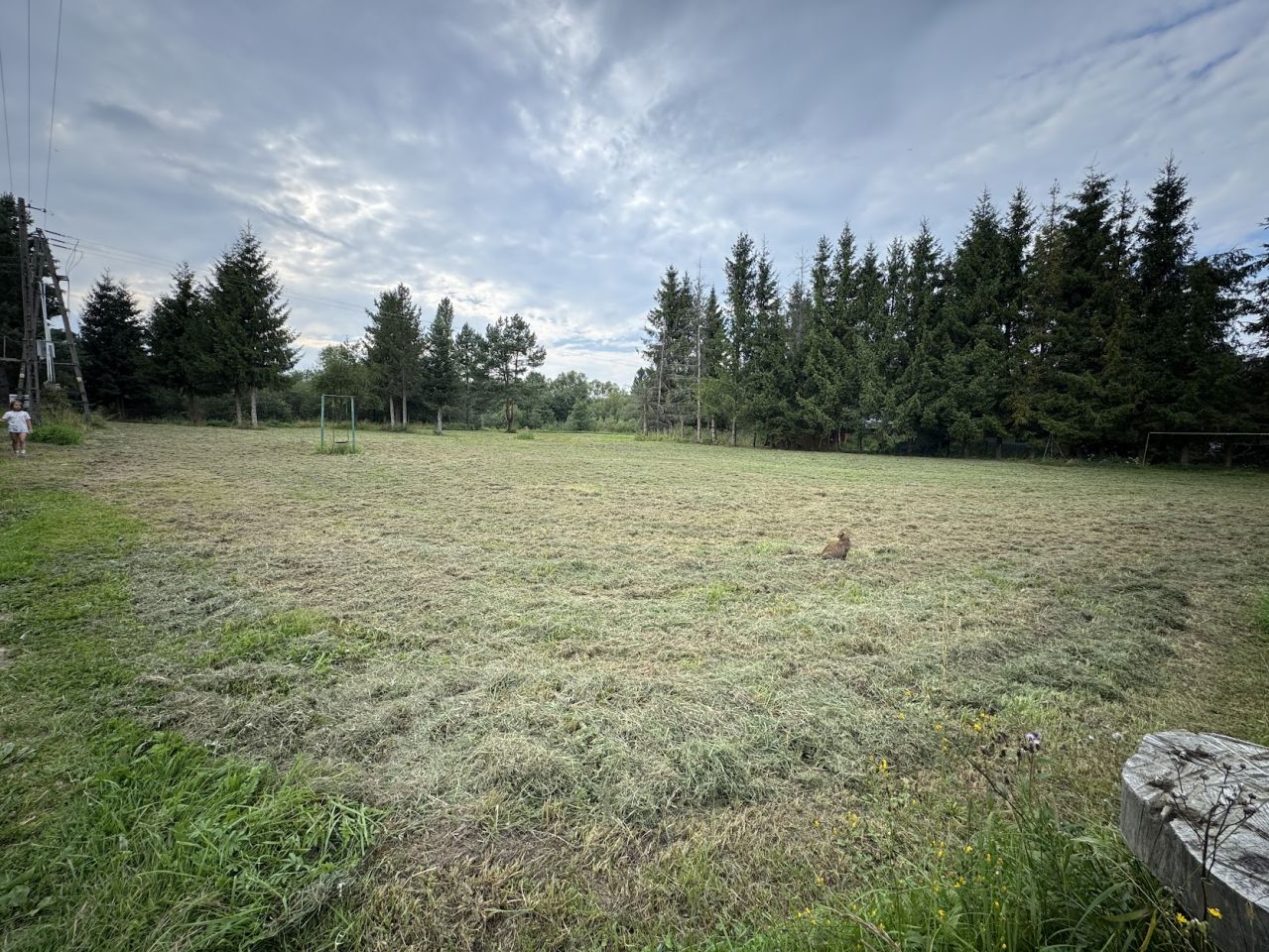 Działka budowlana Osławica. Zdjęcie 13