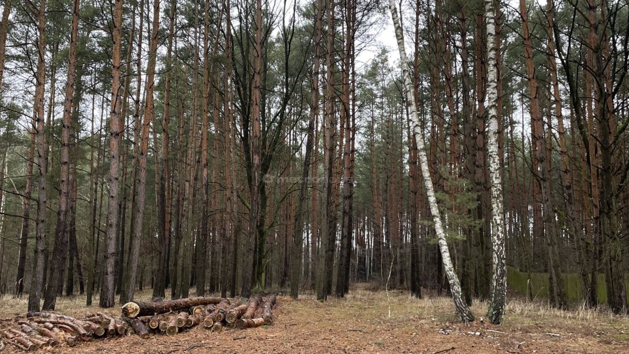 Działka budowlana Kamieńczyk. Zdjęcie 3