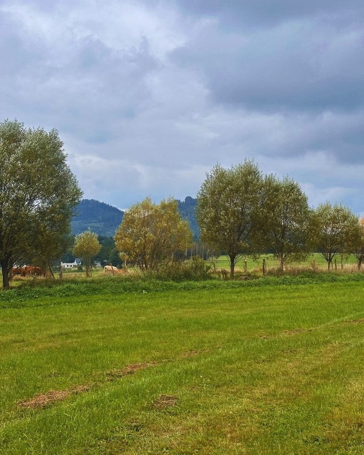 Działka budowlana Janowice Wielkie. Zdjęcie 25
