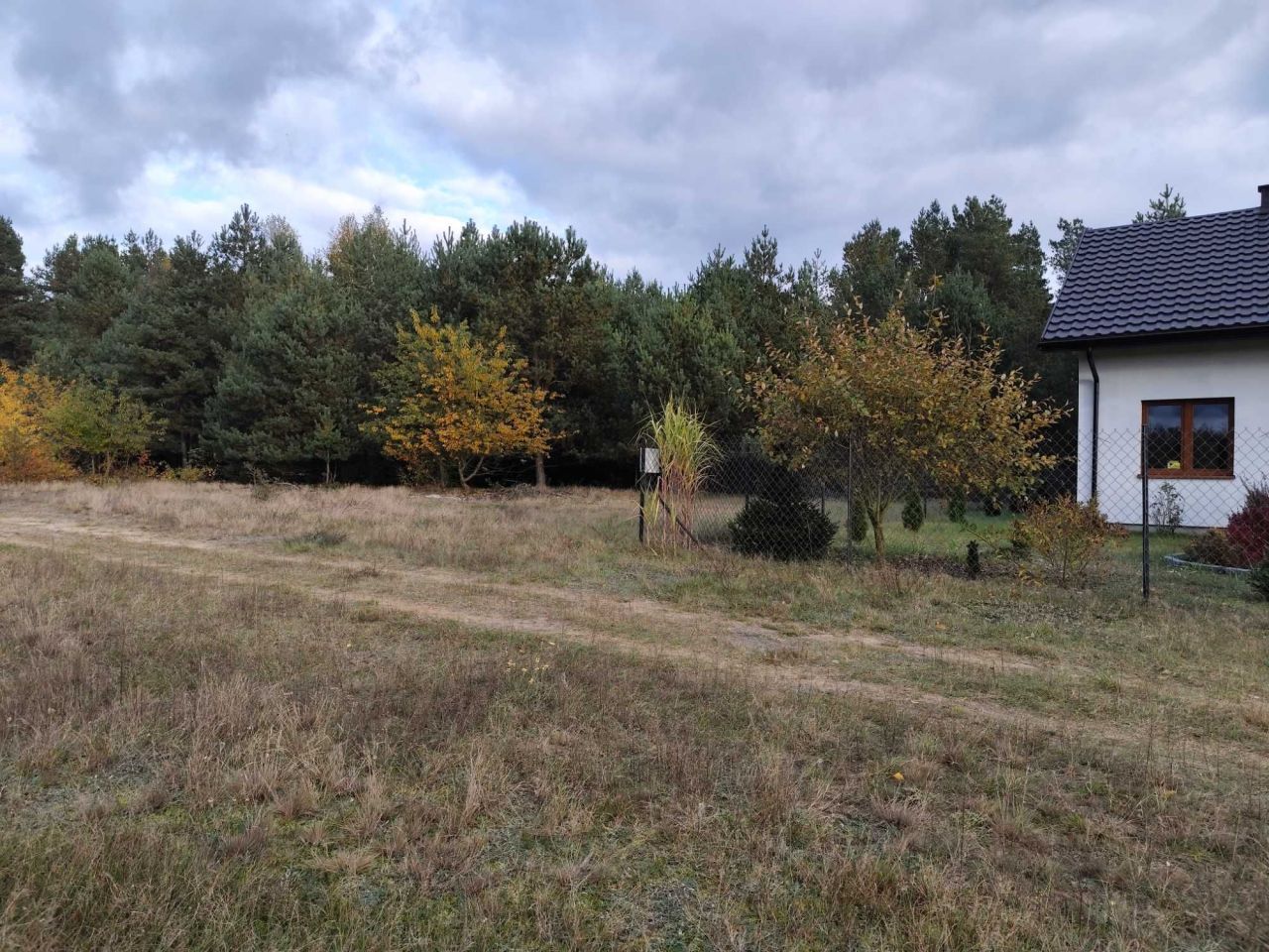 Działka rolno-budowlana Strzegowo