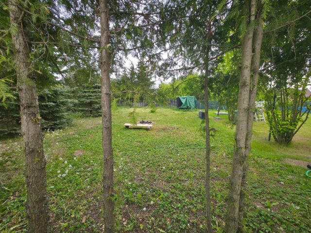 Działka rod Ciechanów. Zdjęcie 1