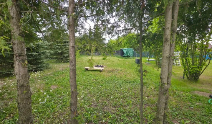 Działka rod Ciechanów