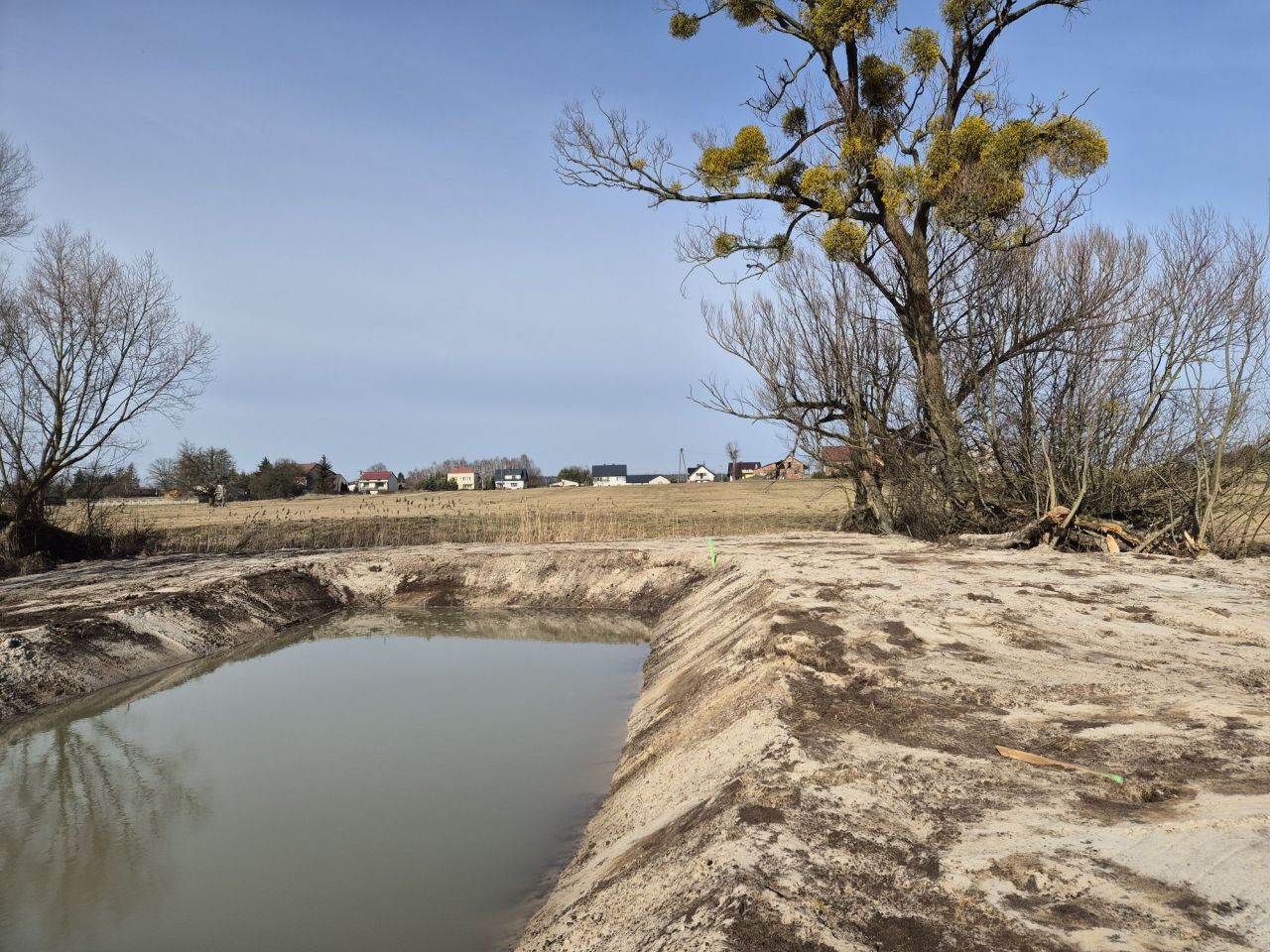Działka rolna Życzyn. Zdjęcie 4