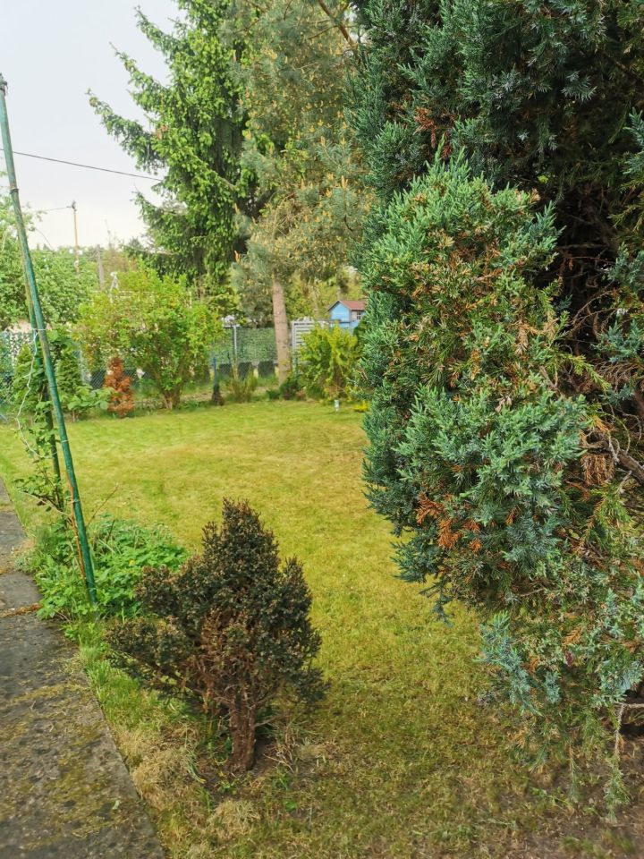 Działka rod Bydgoszcz, ul. Chemiczna. Zdjęcie 8