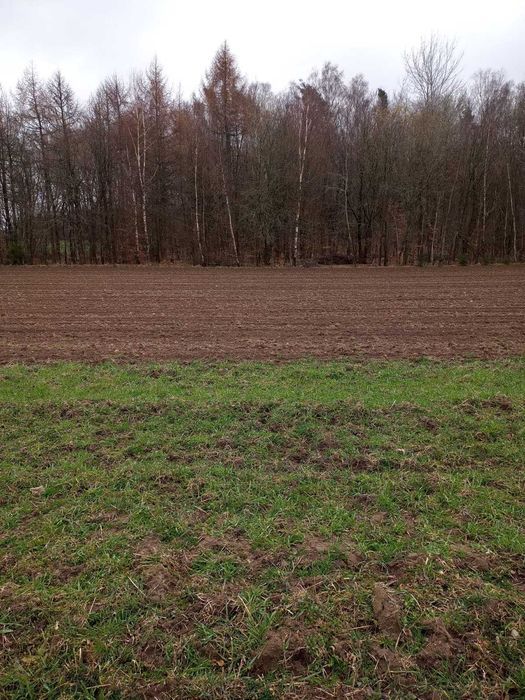 Działka siedliskowa Tępcz. Zdjęcie 4